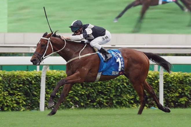 纬赛驹戴眼罩夺魁家族曾养香港马王龙8long8国际唯一网站王经(图4)